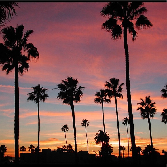 Meet your Wholesale Posher Simply Belle - Picture 1 of 1